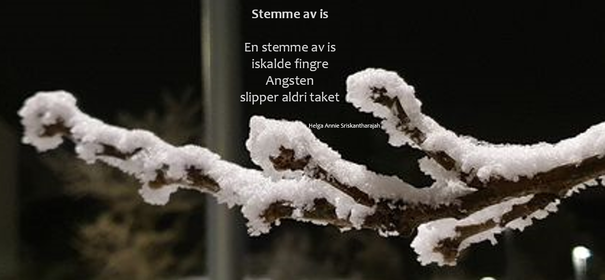 Stemme av is – Skrivarguri
